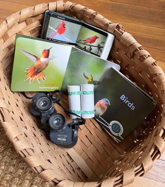 Birds Beyond the Book: Everyday Language-Building Fun