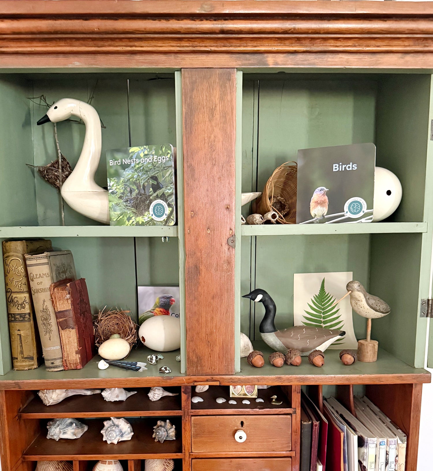 Books