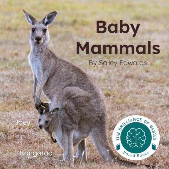Baby Mammals
