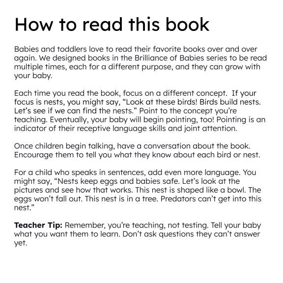 Bird Nests and Eggs Board Book