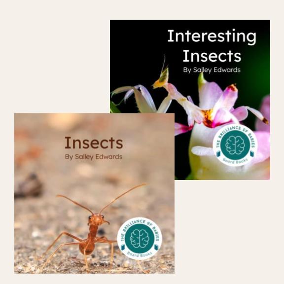 Insects Bundle