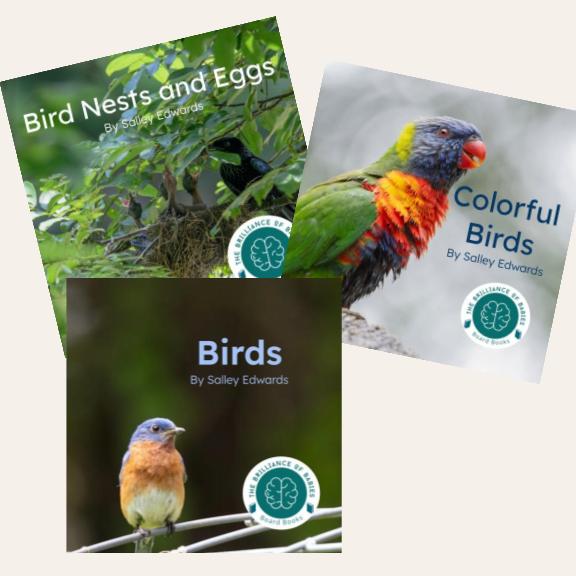 Birds Bundle
