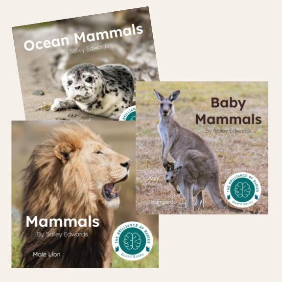 Mammals Bundle