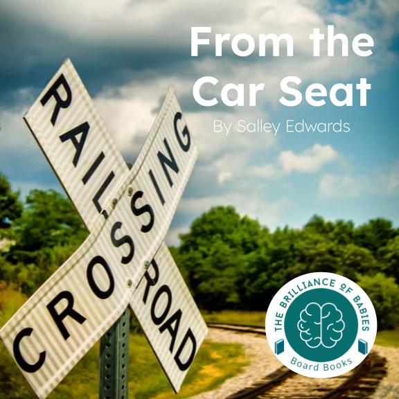 From the Car Seat
