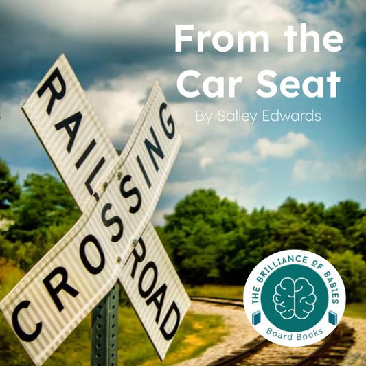 From the Car Seat