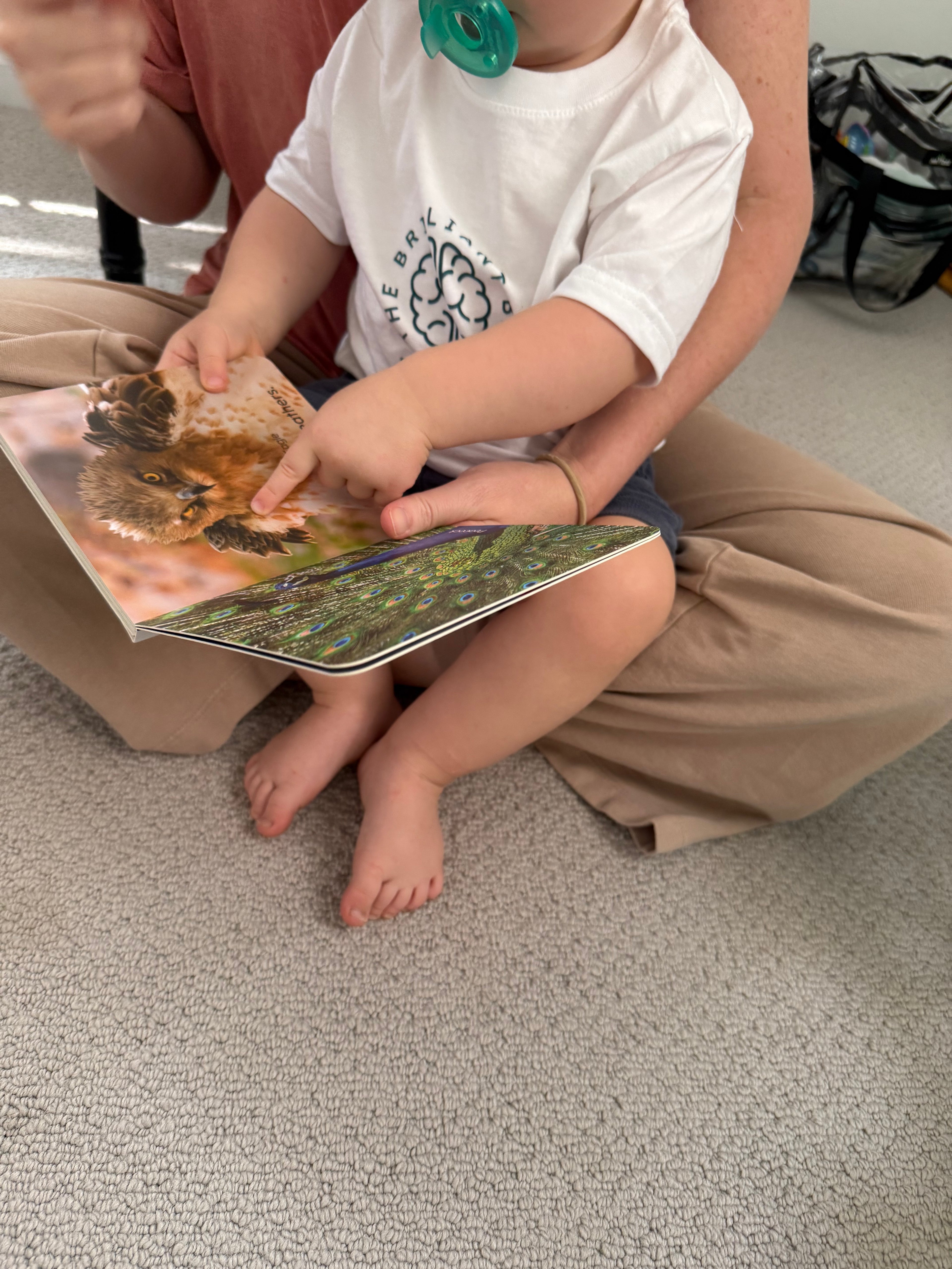 Nonfiction board books for babies and toddlers