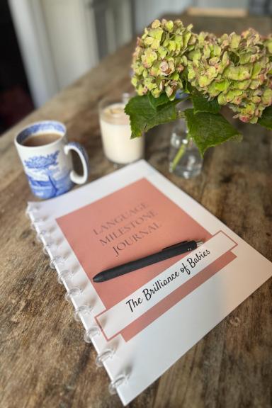 Language Development Milestone Journal (Birth–5 Years)- pink