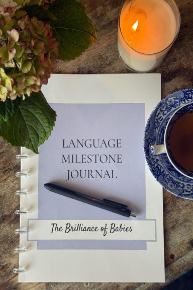 Language Development Milestone Journal (Birth–5 Years)- Blue