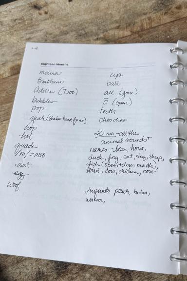 Language Development Milestone Journal (Birth–5 Years)- Blue