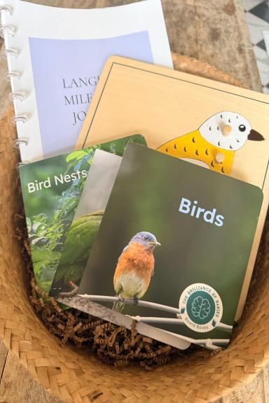 Language Development Milestone Journal (Birth–5 Years)- Blue