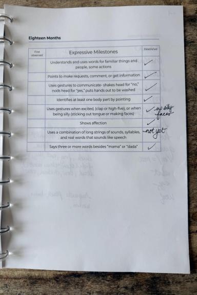 Language Development Milestone Journal (Birth–5 Years)- Blue