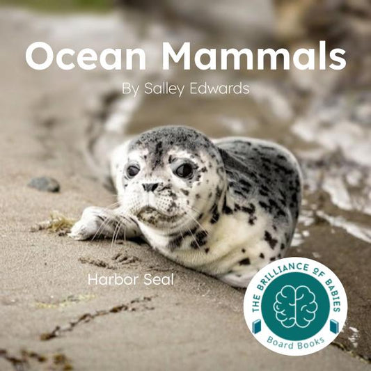 Ocean Mammals