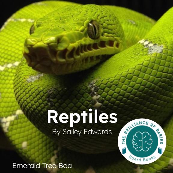 Reptiles